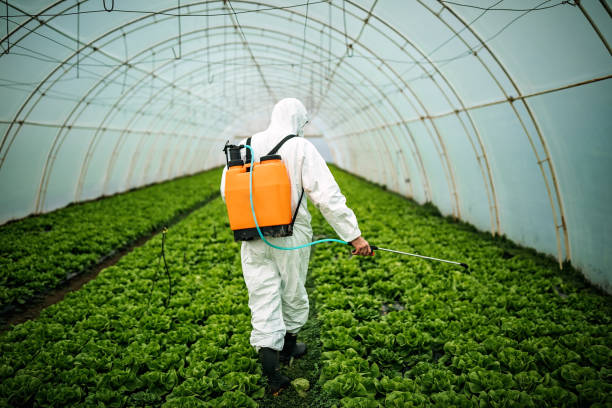 Best Best Pest Control Companies  in Jurupa Valley, CA